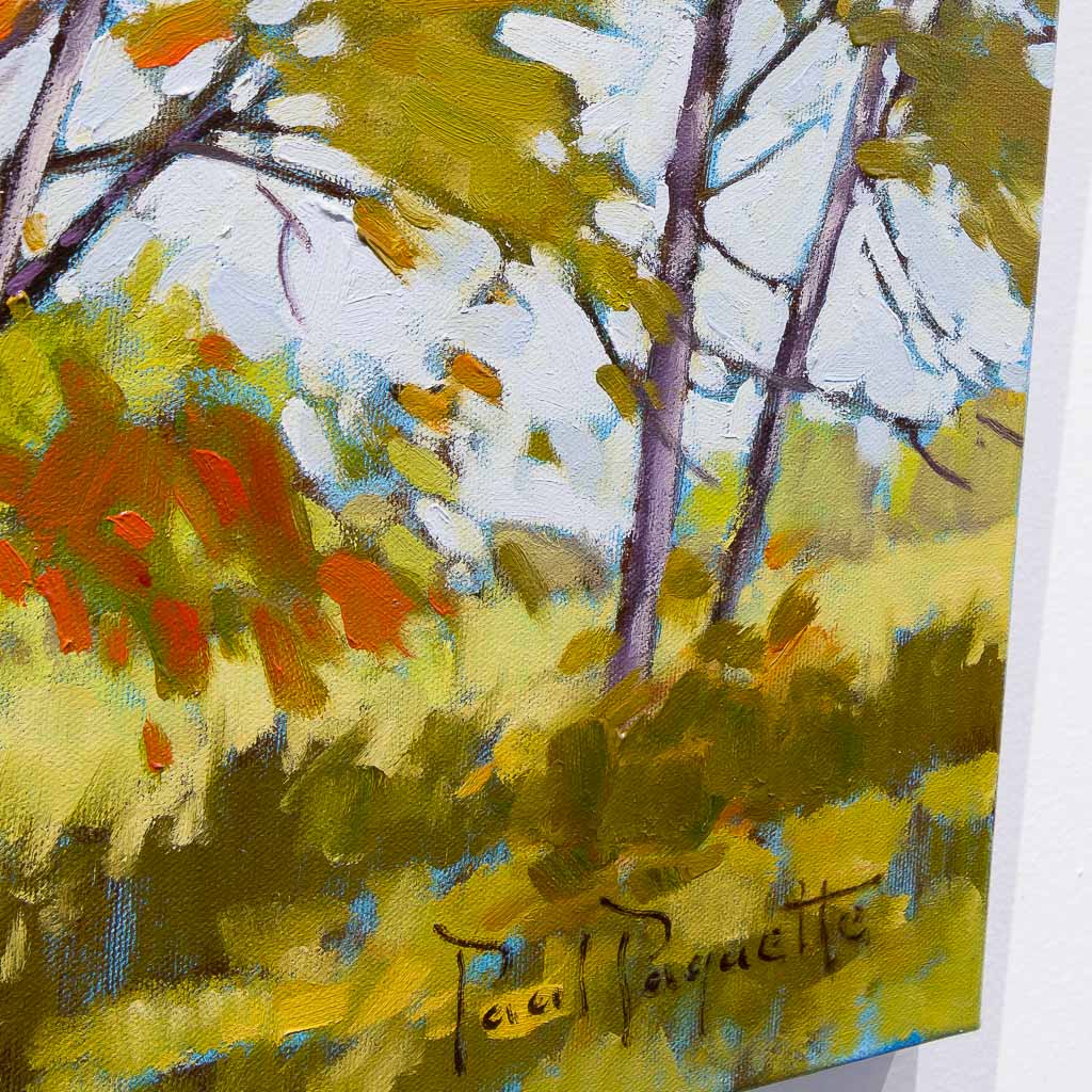 Through the Trees | 16" x 20" Oil on Canvas Paul Paquette