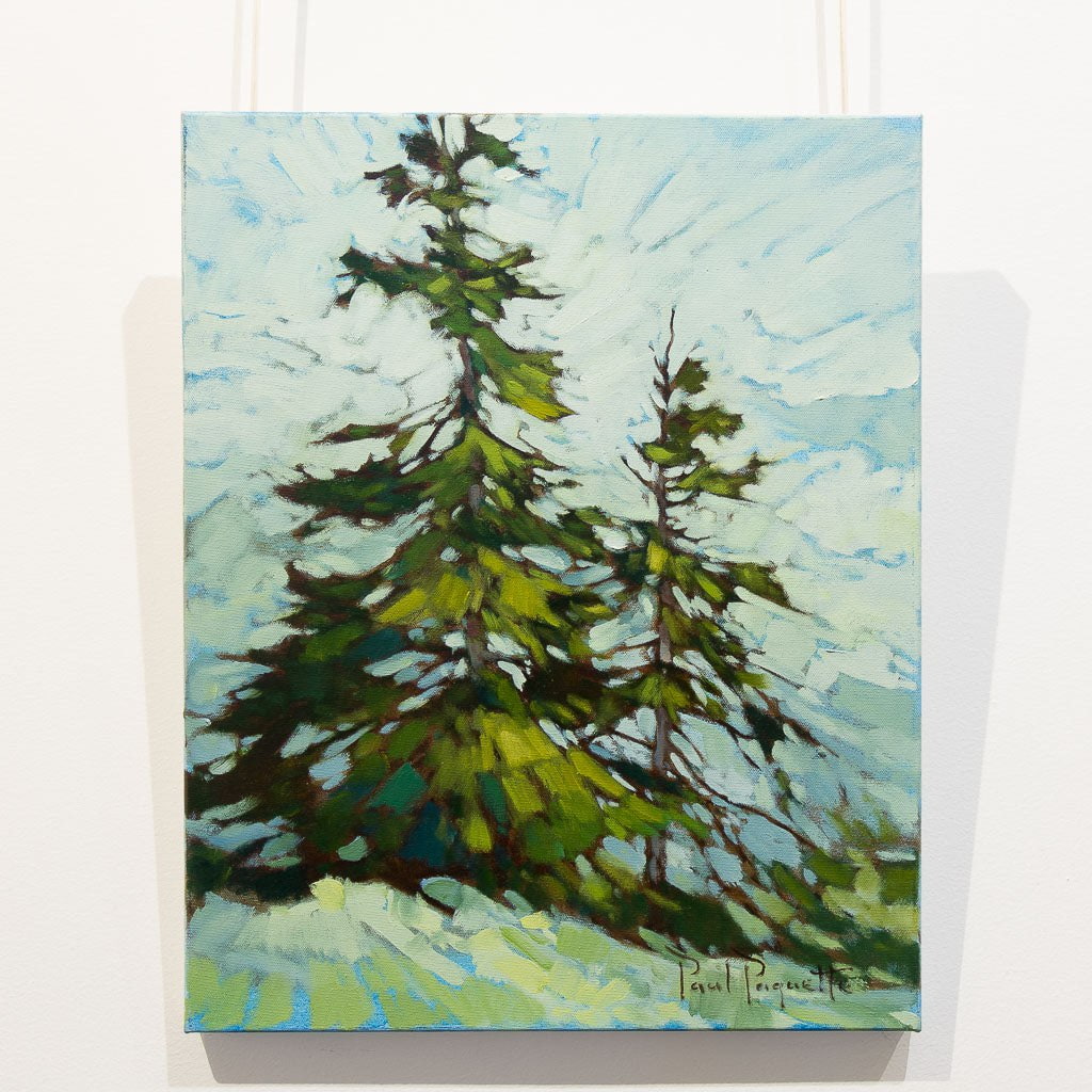Alpine Study | 20" x 16" Oil on Canvas Paul Paquette