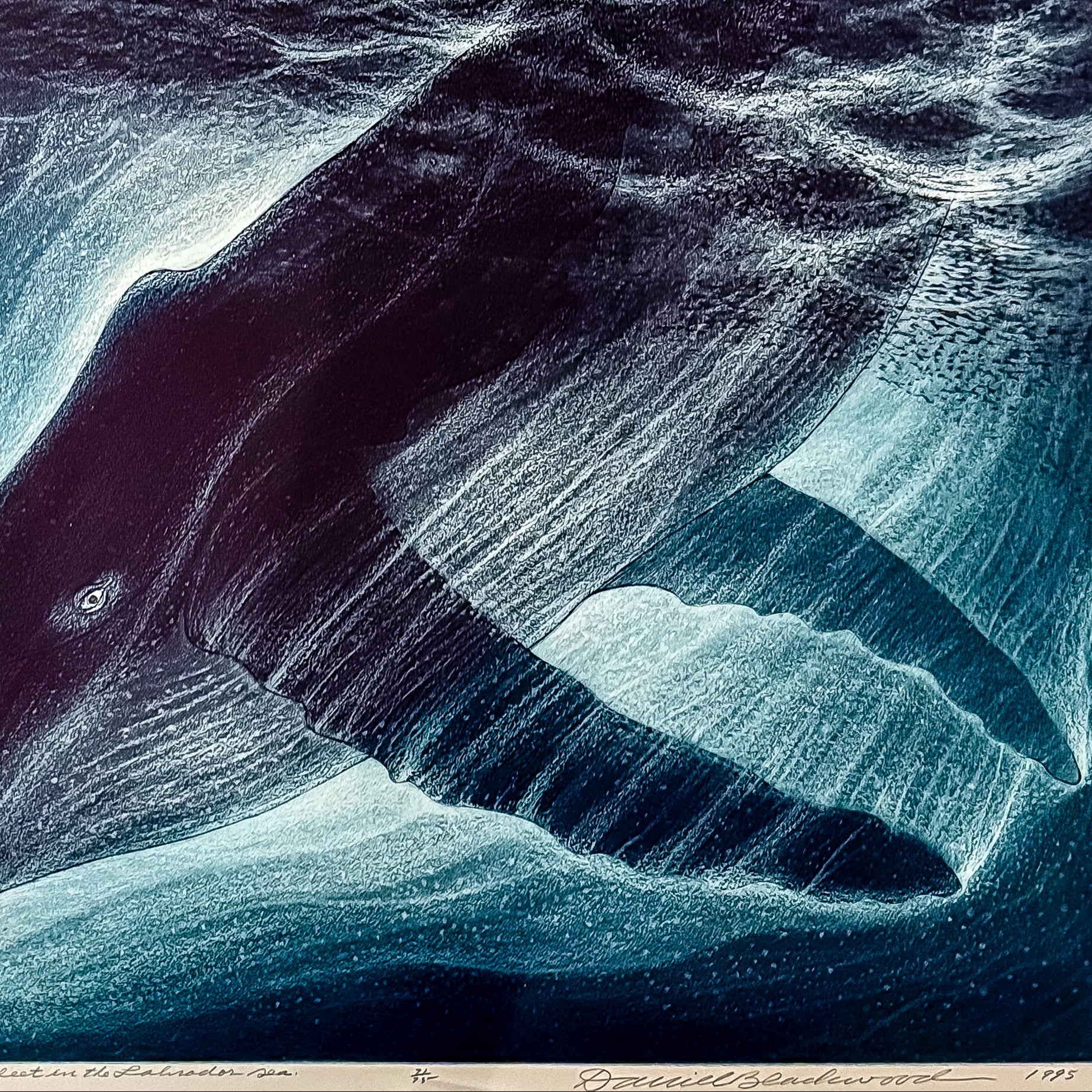 Wesleyville Fleet in the Labrador Sea | 1995 | Etching 71 of 75 Etching with Aquatint on Paper David Blackwood