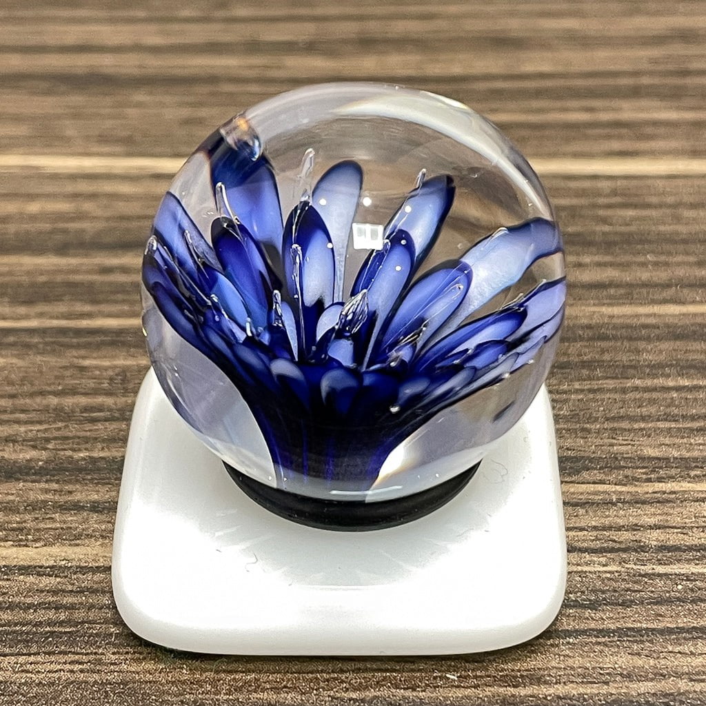 Implosion Marble - Cobalt/White Lamp-worked Glass Marble Bob Leatherbarrow