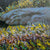 Six Mile Lake #1 | 36" x 48" Acrylic on Canvas Shi Le