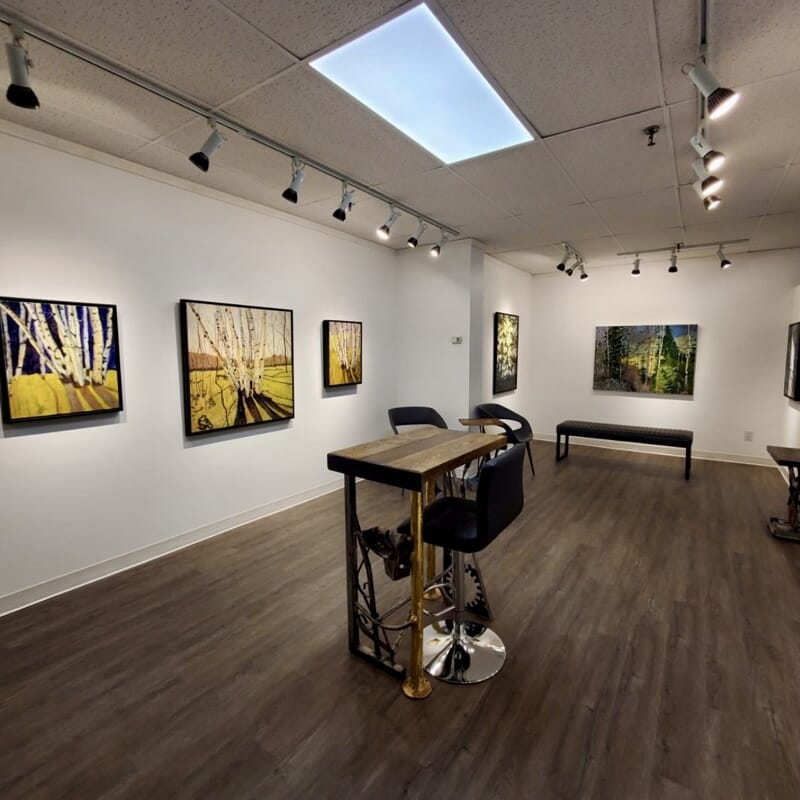 Bugera Gallery