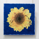 Third Stone From the Sun | 20" x 20" Mixed Media on canvas Maryann Hendriks