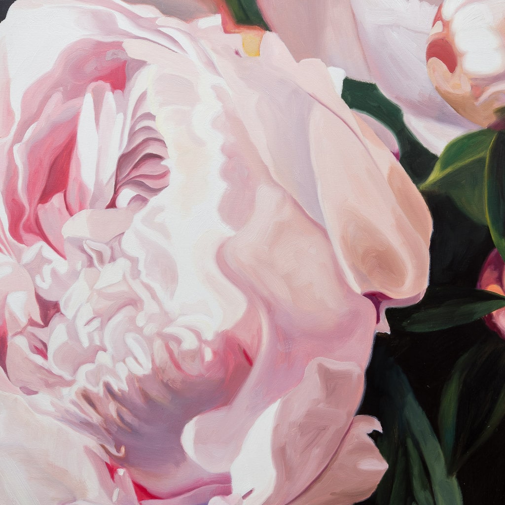 Peony Duet | 40" x 40" Oil on Panel James Wiens