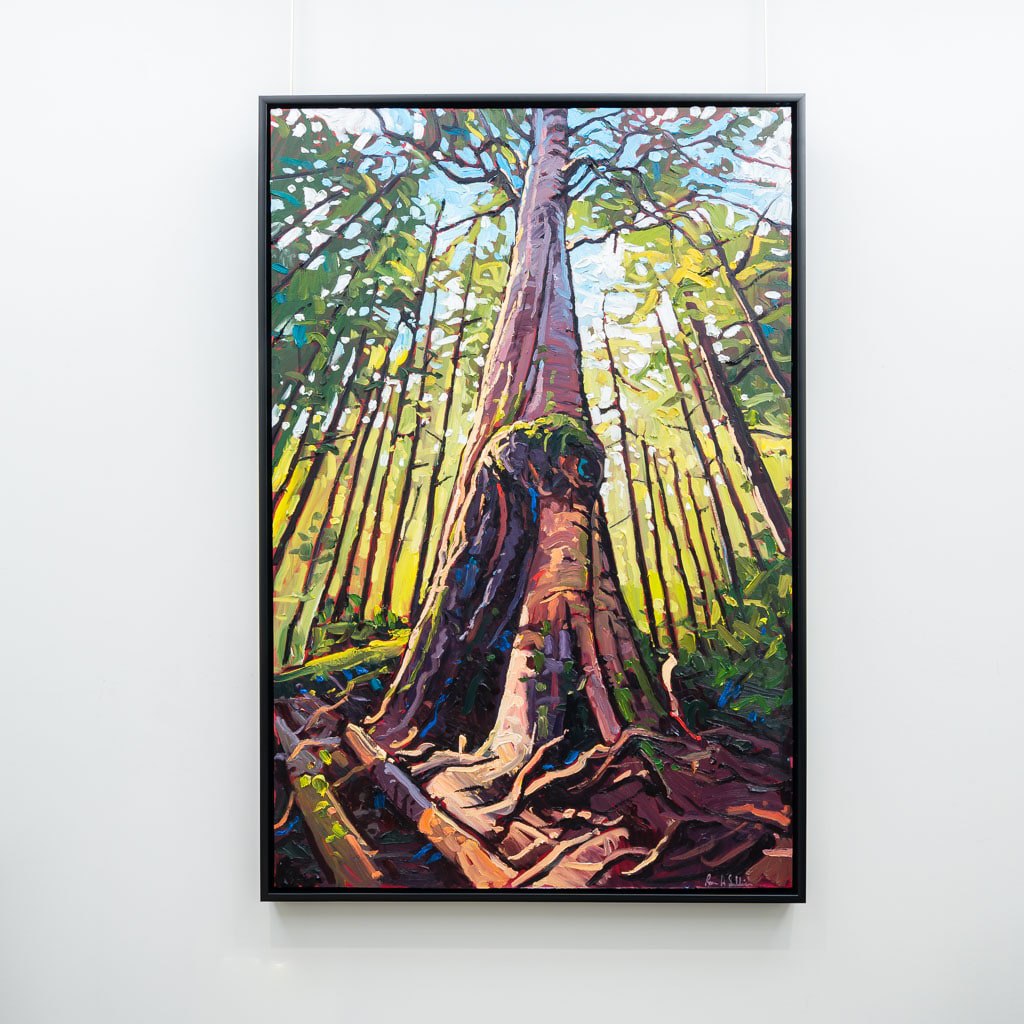 Towering Cedar, Vancouver Island | 60" x 40" Oil on Canvas Ryan Sobkovich