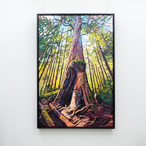 Ryan Sobkovich Towering Cedar, Vancouver Island | 60" x 40" Oil on Canvas