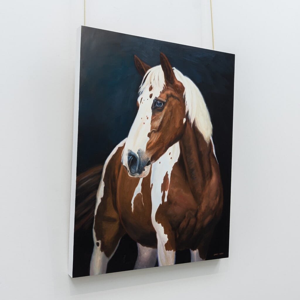 American Paint Horse | 30" x 24" Oil on Board James Wiens