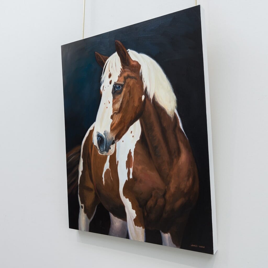 American Paint Horse | 30" x 24" Oil on Board James Wiens