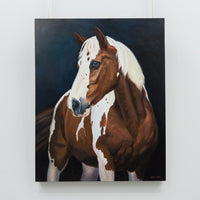 American Paint Horse