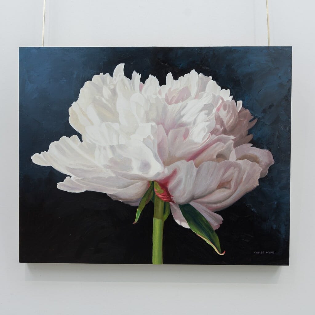 Peony in Light | 24" x 30" Oil on Board James Wiens