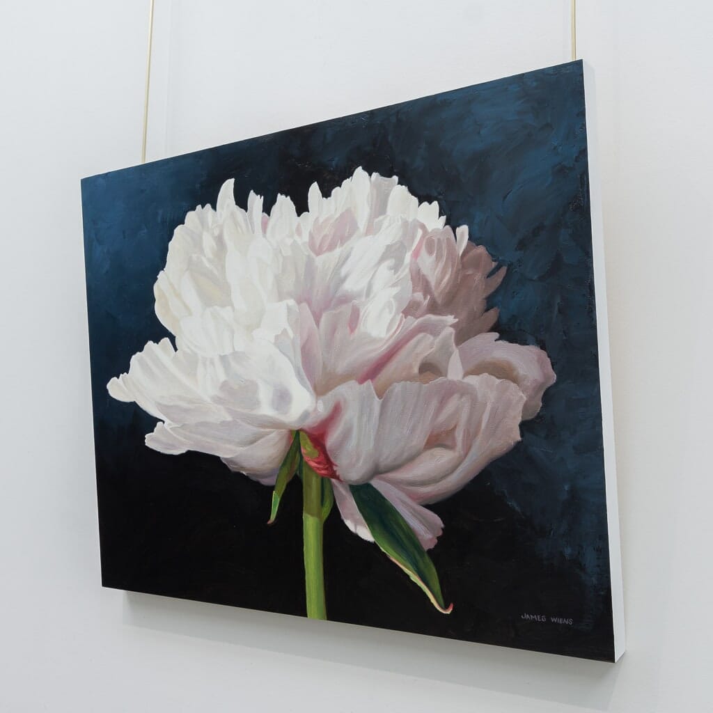 Peony in Light | 24" x 30" Oil on Board James Wiens