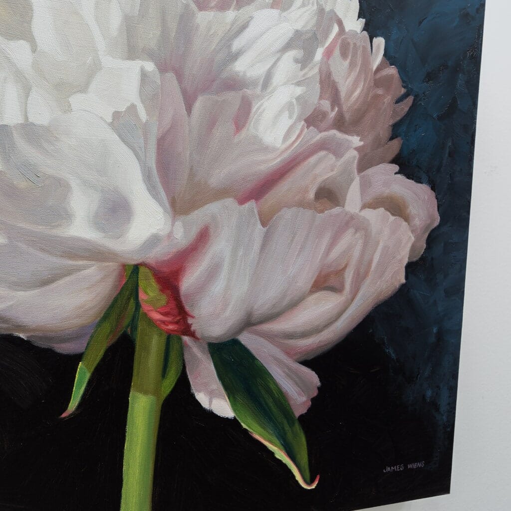 Peony in Light | 24" x 30" Oil on Board James Wiens