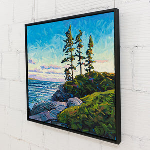 Ryan Sobkovich Engaging Pines at Sunset, Tofino | 36" x 36" Oil on Canvas