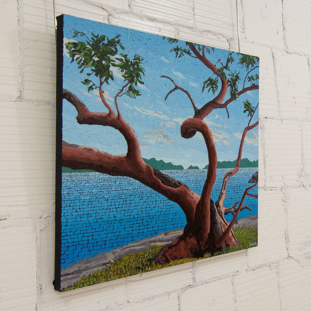 Old Arbutus by the Bay | 30" x 36" Oil on Canvas Joel Mara