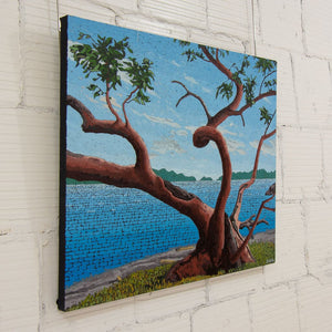 Joel Mara Old Arbutus by the Bay | 30" x 36" Oil on Canvas