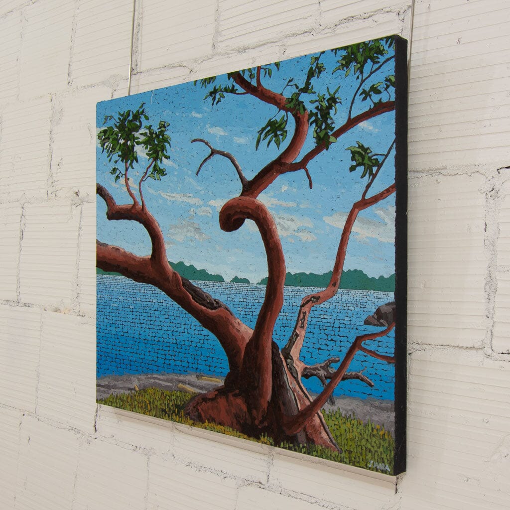 Old Arbutus by the Bay | 30" x 36" Oil on Canvas Joel Mara