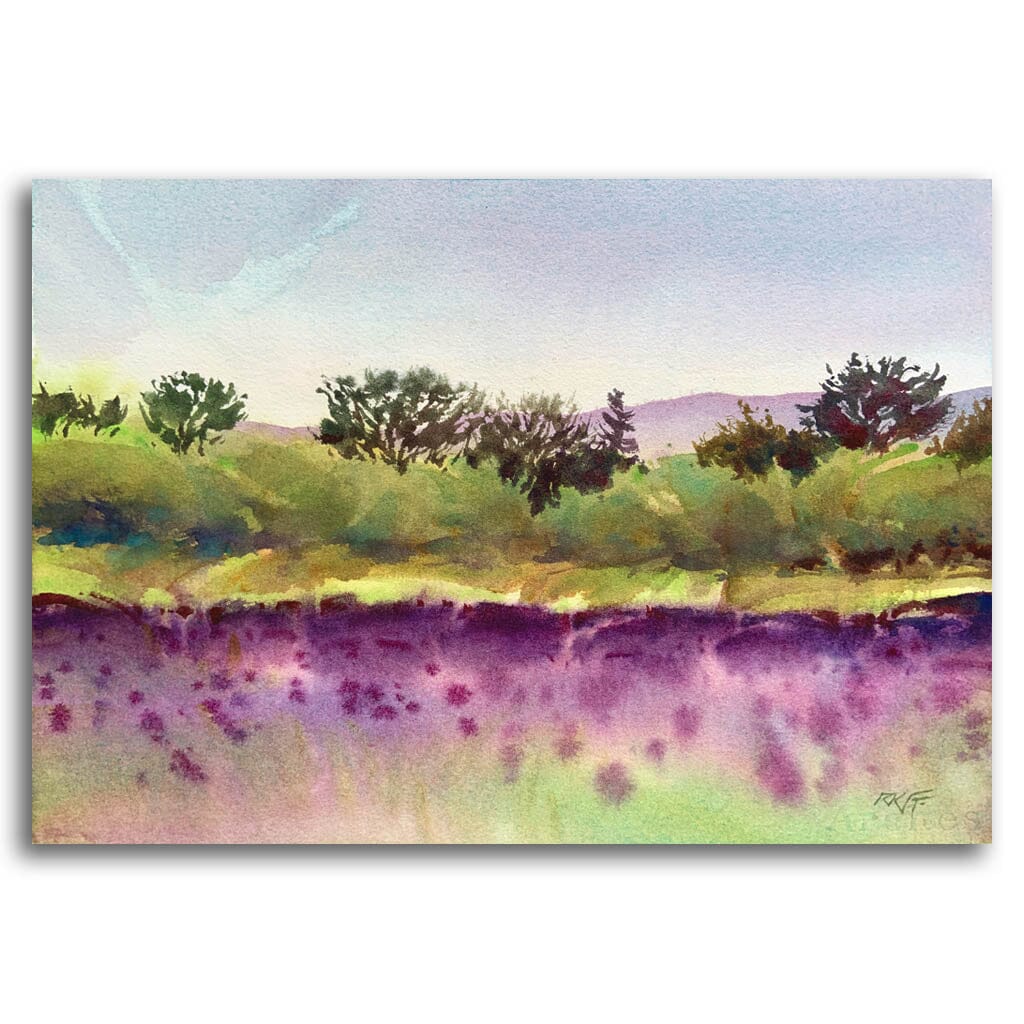Ken Faulks The Lavender Field | 9&quot; x 13&quot; Watercolour
