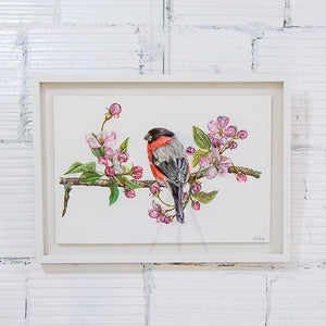 Jeannette Sirois Bullfinch in Spring | 14.5" x 22" Coloured Pencil on Paper