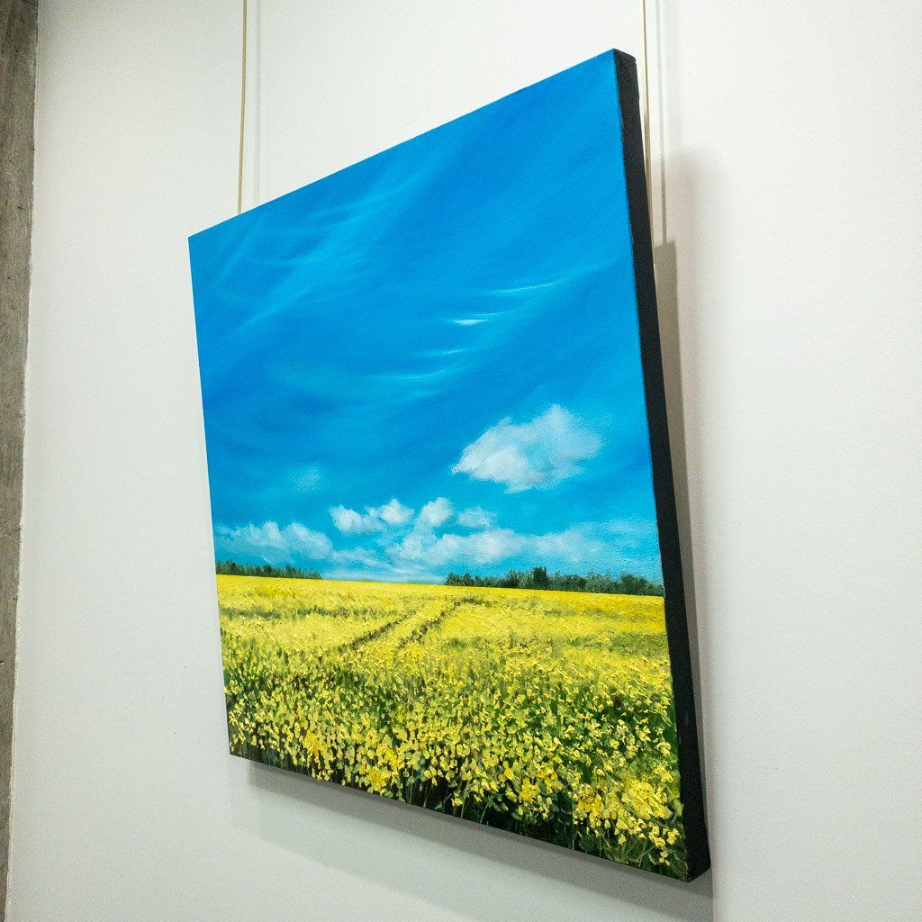 Canola II | 30" x 30" Oil on Canvas Richard Cole