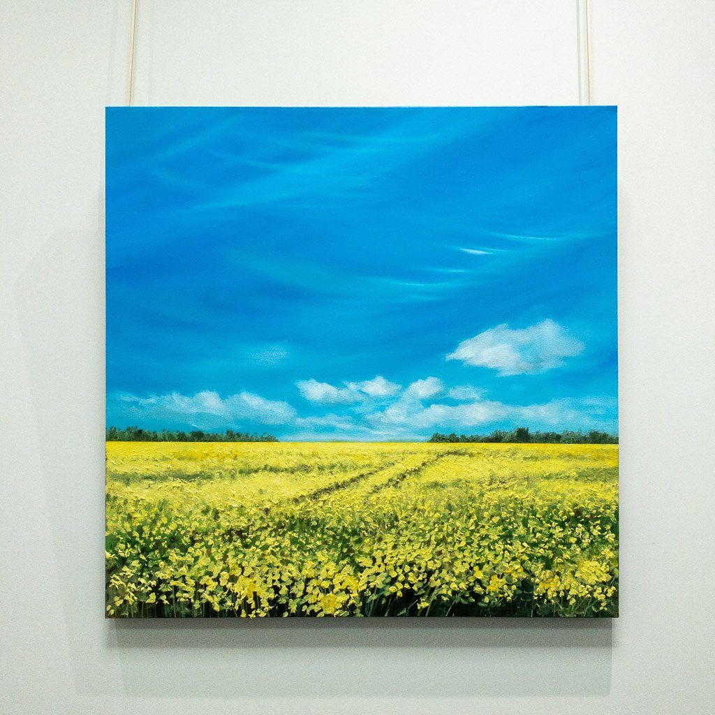 Canola II | 30" x 30" Oil on Canvas Richard Cole