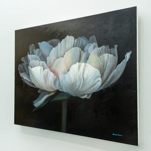 James Wiens Solitary Peony IV | 24" x 30" Oil on Board