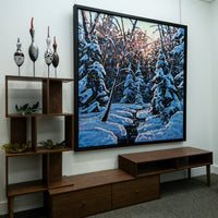 Evening Glow Through the Forest