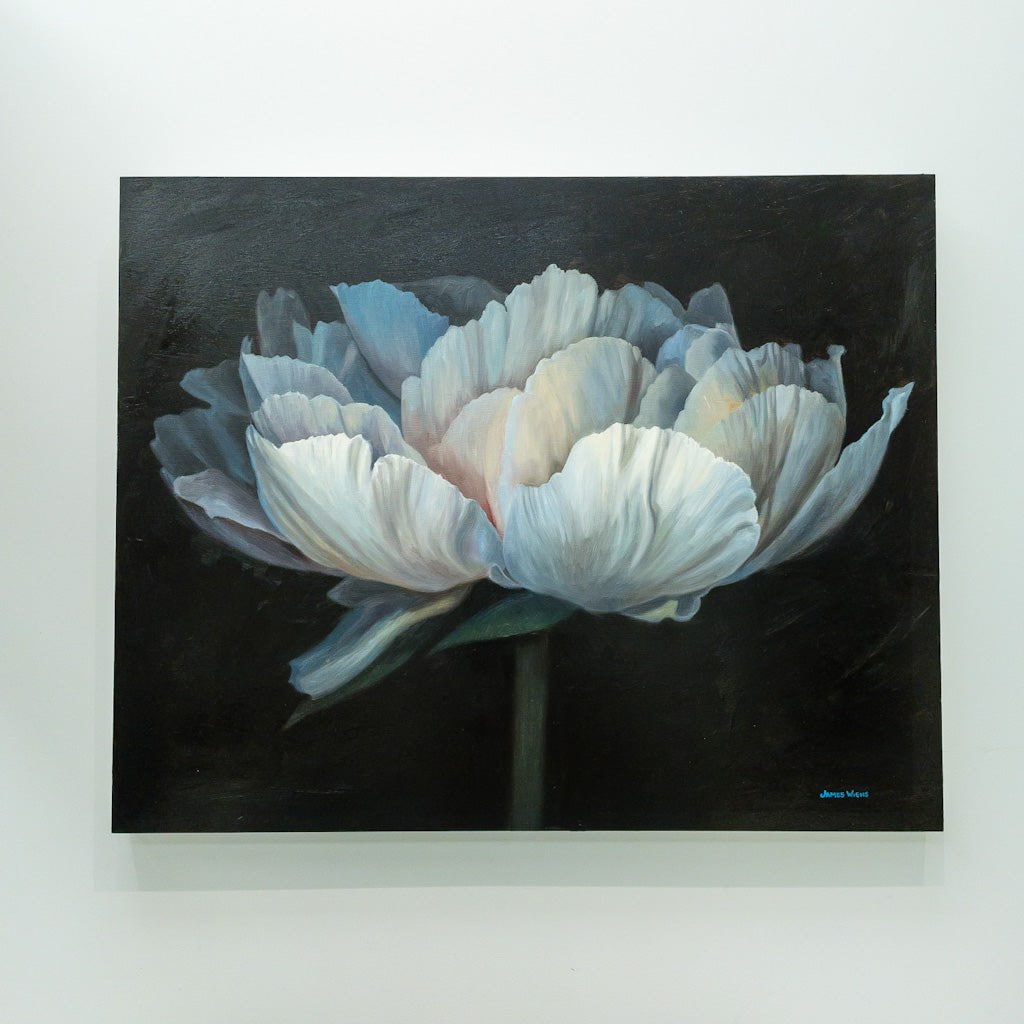 Solitary Peony IV | 24&quot; x 30&quot; Oil on Board James Wiens