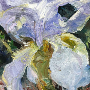 Gabryel Harrison Iris in Spring | 20" x 16" Oil on Canvas
