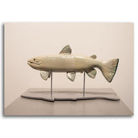 Silver Salmon with Shadow Base