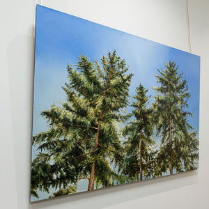 Richard Cole Three Trees | 40" x 54" Oil on Canvas Horizontal / Edmonton AB