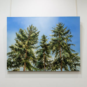 Richard Cole Three Trees | 40" x 54" Oil on Canvas Horizontal / Edmonton AB