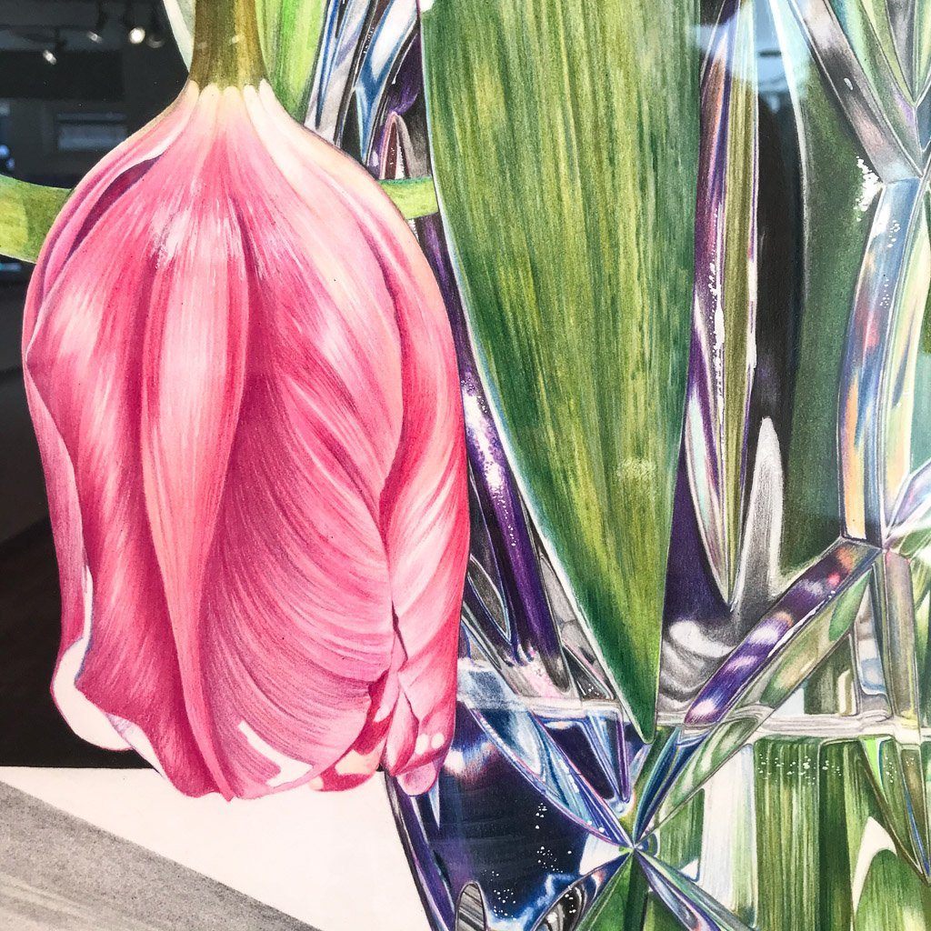 Touched by Spring #1 | 46" x 46" Coloured Pencil on Paper Jeannette Sirois